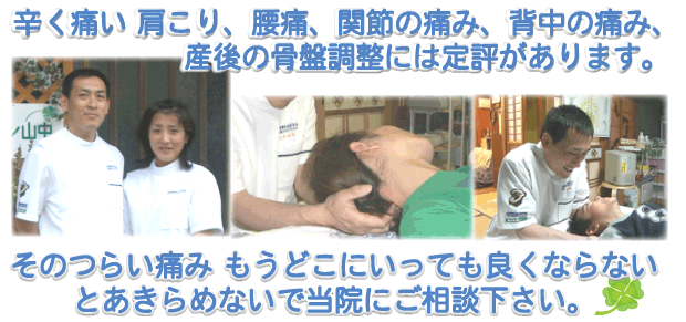 淡路島整体院 カイロ・サロン山中は、腰痛、肩こり、関節痛、産後の骨盤整体、フェイシャルエステで有名な 淡路島整体院 です。